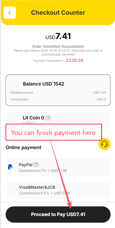 Checkout and payment